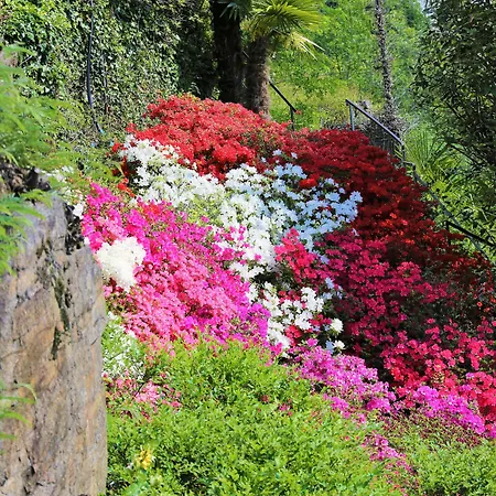 Ferrari 4* קנוביו